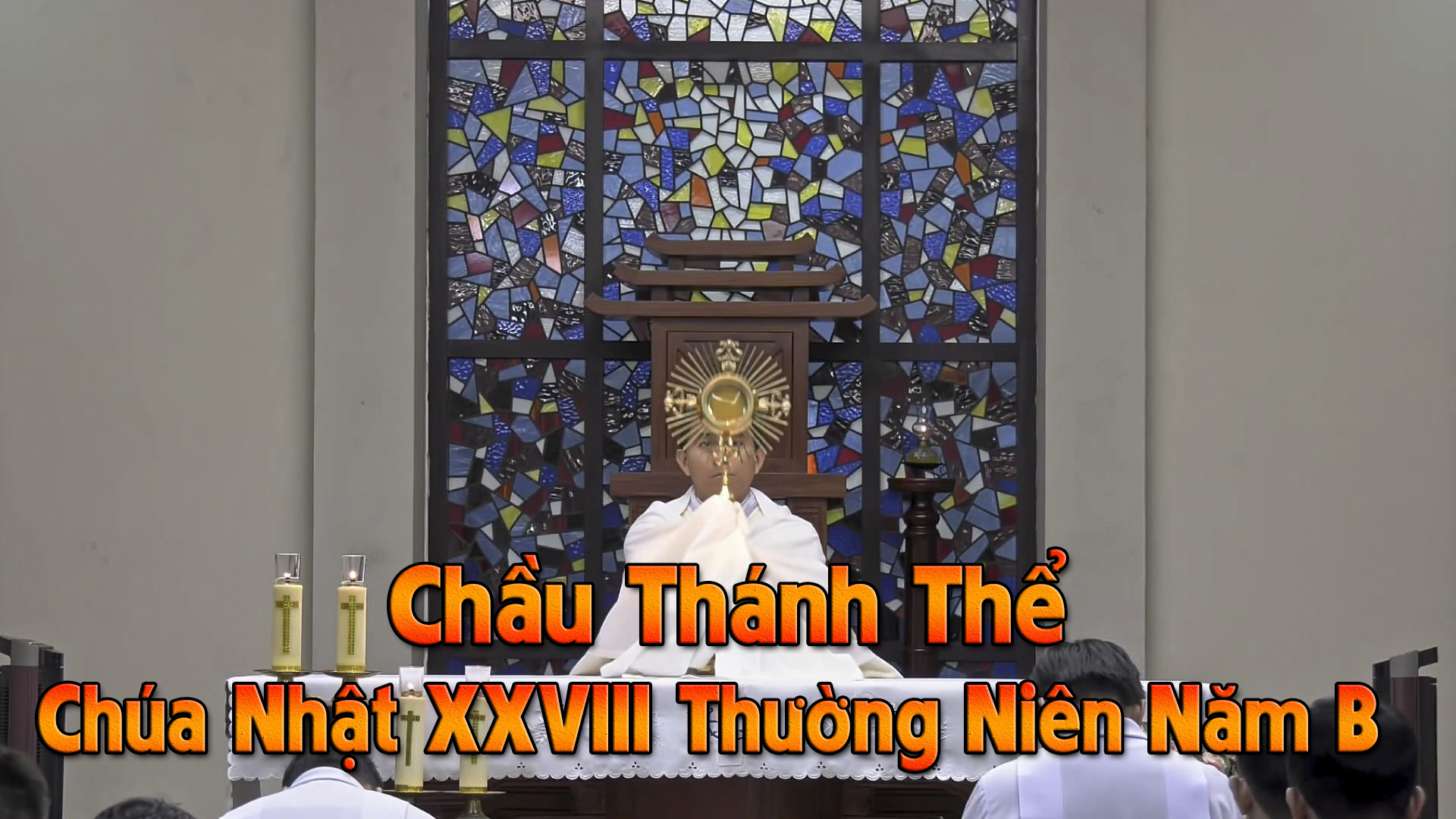 Chầu Thánh Thể - Chúa Nhật XXVIII Thường Niên Năm B